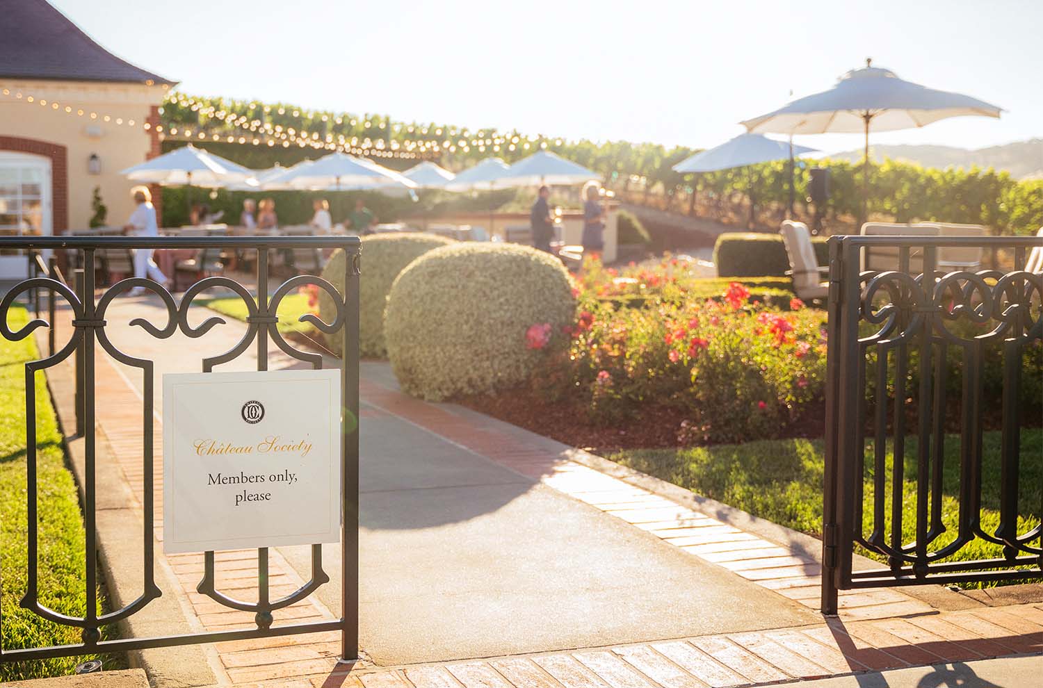 Wine Club Patio at Domaine Carneros